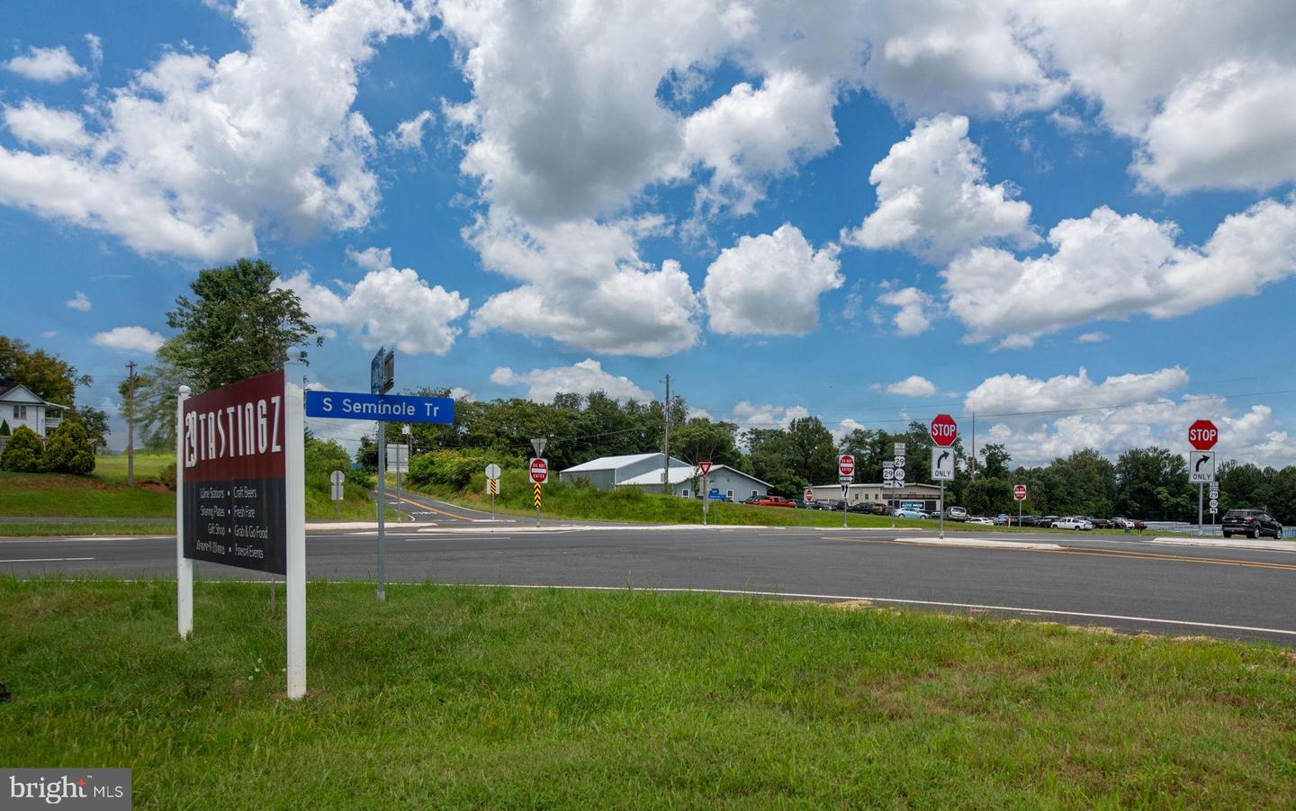 3800 SHELBY RD, MADISON, Virginia 22727, ,Land,For sale,3800 SHELBY RD,VAMA2002418 MLS # VAMA2002418