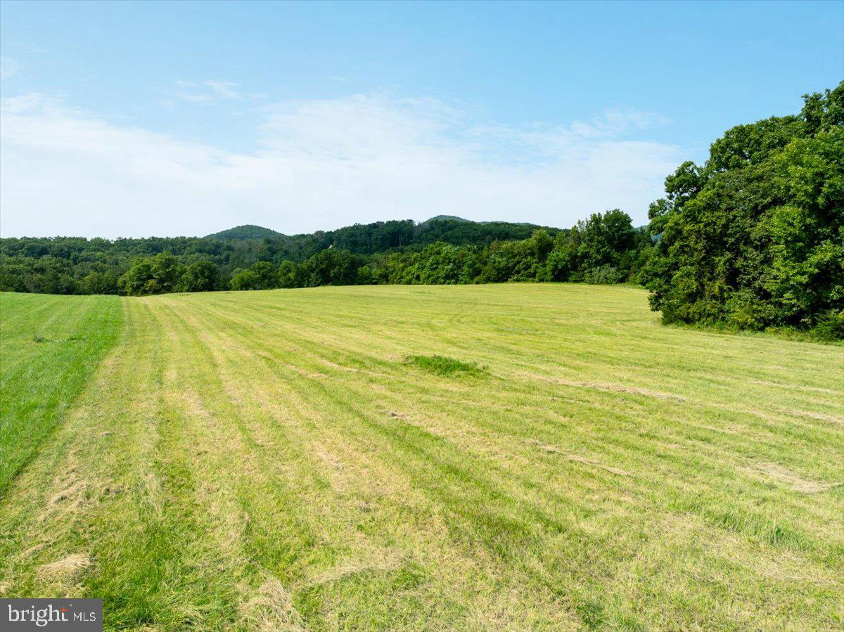 STRASBURG ROAD - LOT B3, STRASBURG, Virginia 22657, ,Land,For sale,STRASBURG ROAD - LOT B3,VAWR2010142 MLS # VAWR2010142