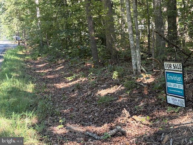 GOLDMINE RD #LOT 1, GOLDVEIN, Virginia 22720, ,Land,For sale,GOLDMINE RD #LOT 1,VAFQ2018066 MLS # VAFQ2018066
