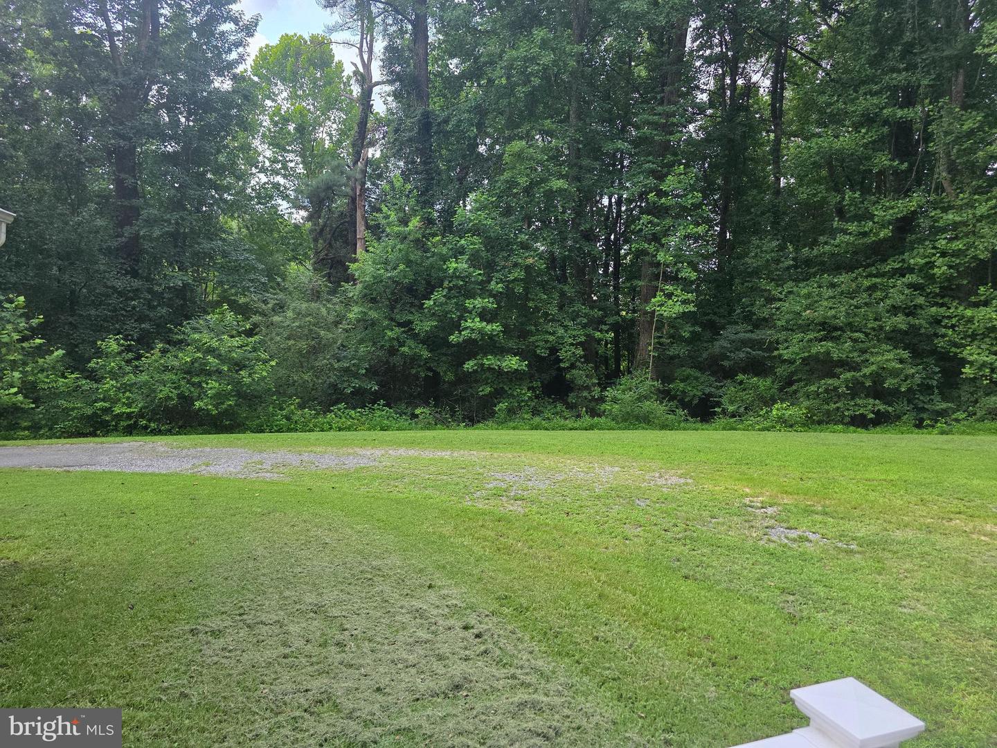 416 BERRY HILL RD, TAPPAHANNOCK, Virginia 22560, 3 Bedrooms Bedrooms, 6 Rooms Rooms,2 BathroomsBathrooms,Residential,For sale,416 BERRY HILL RD,VAES2000916 MLS # VAES2000916
