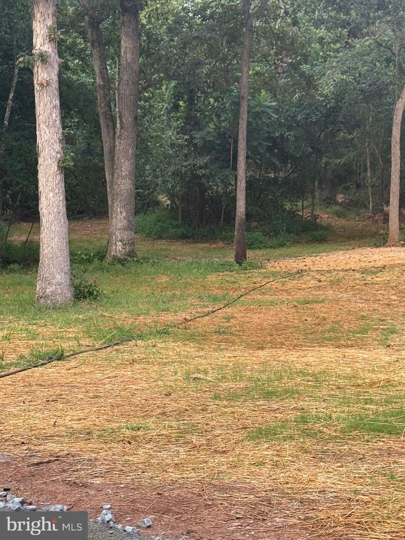 9653 WOODBROOK LANE, MIDLAND, Virginia 22728, 3 Bedrooms Bedrooms, ,3 BathroomsBathrooms,Residential,For sale,9653 WOODBROOK LANE,VAFQ2018028 MLS # VAFQ2018028