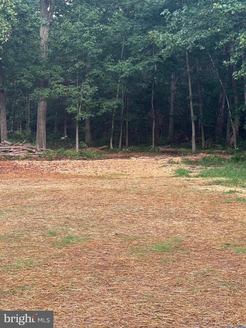 9653 WOODBROOK LANE, MIDLAND, Virginia 22728, 3 Bedrooms Bedrooms, ,3 BathroomsBathrooms,Residential,For sale,9653 WOODBROOK LANE,VAFQ2018028 MLS # VAFQ2018028