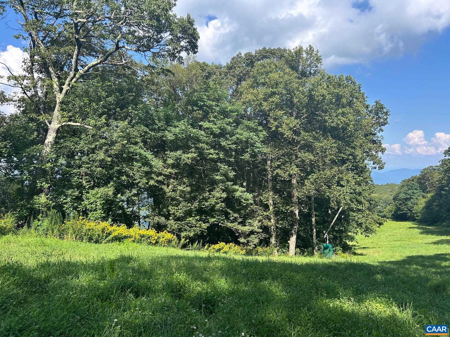 22 TYRO CT, WINTERGREEN RESORT, Virginia 22967, 4 Bedrooms Bedrooms, ,2 BathroomsBathrooms,Residential,For sale,22 TYRO CT,668254 MLS # 668254