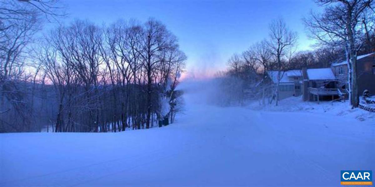 22 TYRO CT, WINTERGREEN RESORT, Virginia 22967, 4 Bedrooms Bedrooms, ,2 BathroomsBathrooms,Residential,For sale,22 TYRO CT,668254 MLS # 668254