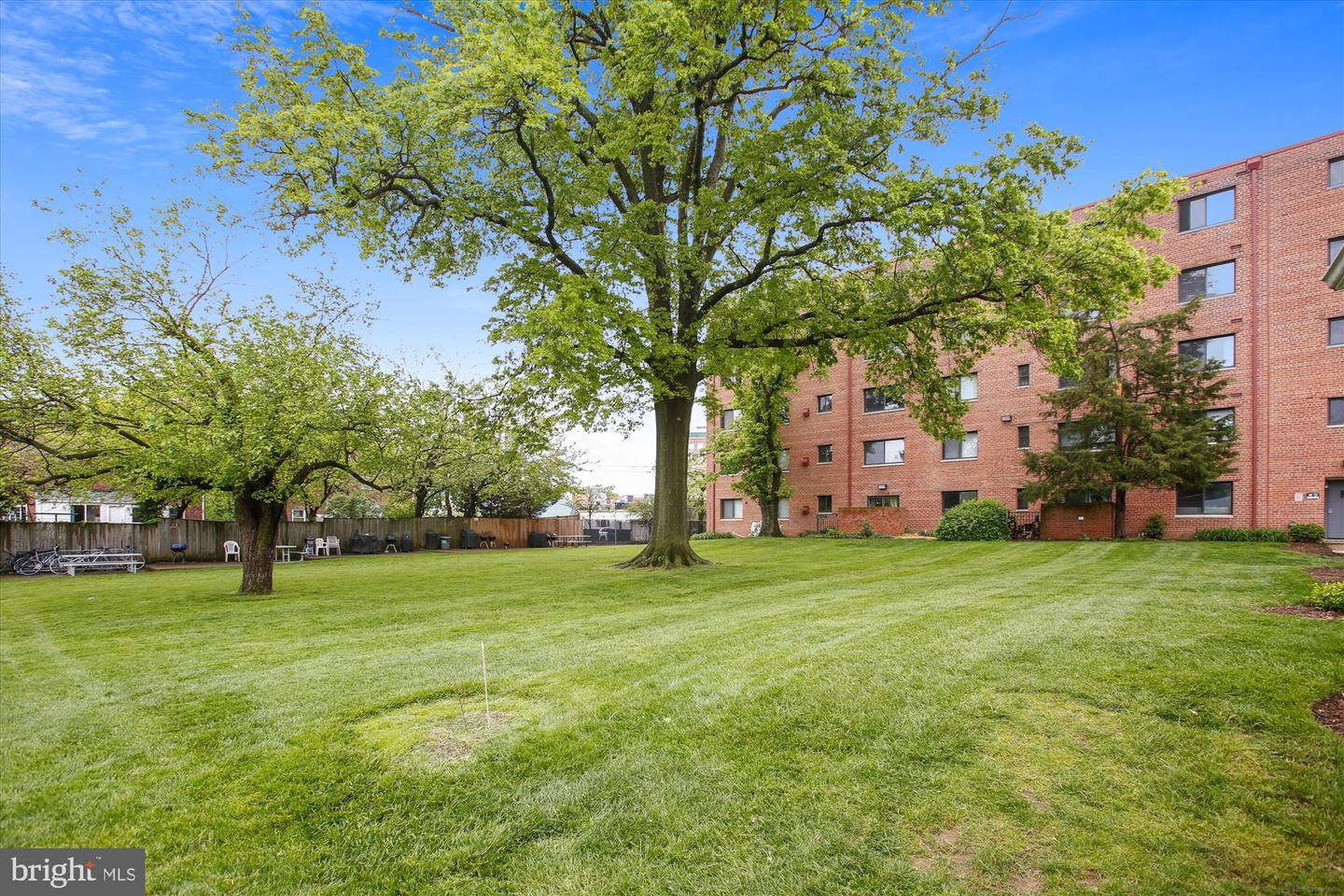 3515 WASHINGTON BLVD #515, ARLINGTON, Virginia 22201, 1 Bedroom Bedrooms, ,1 BathroomBathrooms,Residential,For sale,3515 WASHINGTON BLVD #515,VAAR2062828 MLS # VAAR2062828