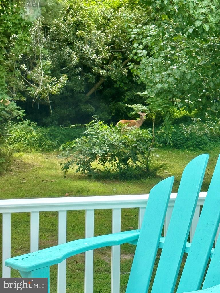 3618 WILLOW ST, CHINCOTEAGUE ISLAND, Virginia 23336, 1 Bedroom Bedrooms, ,1 BathroomBathrooms,Residential,For sale,3618 WILLOW ST,VAAC2002198 MLS # VAAC2002198