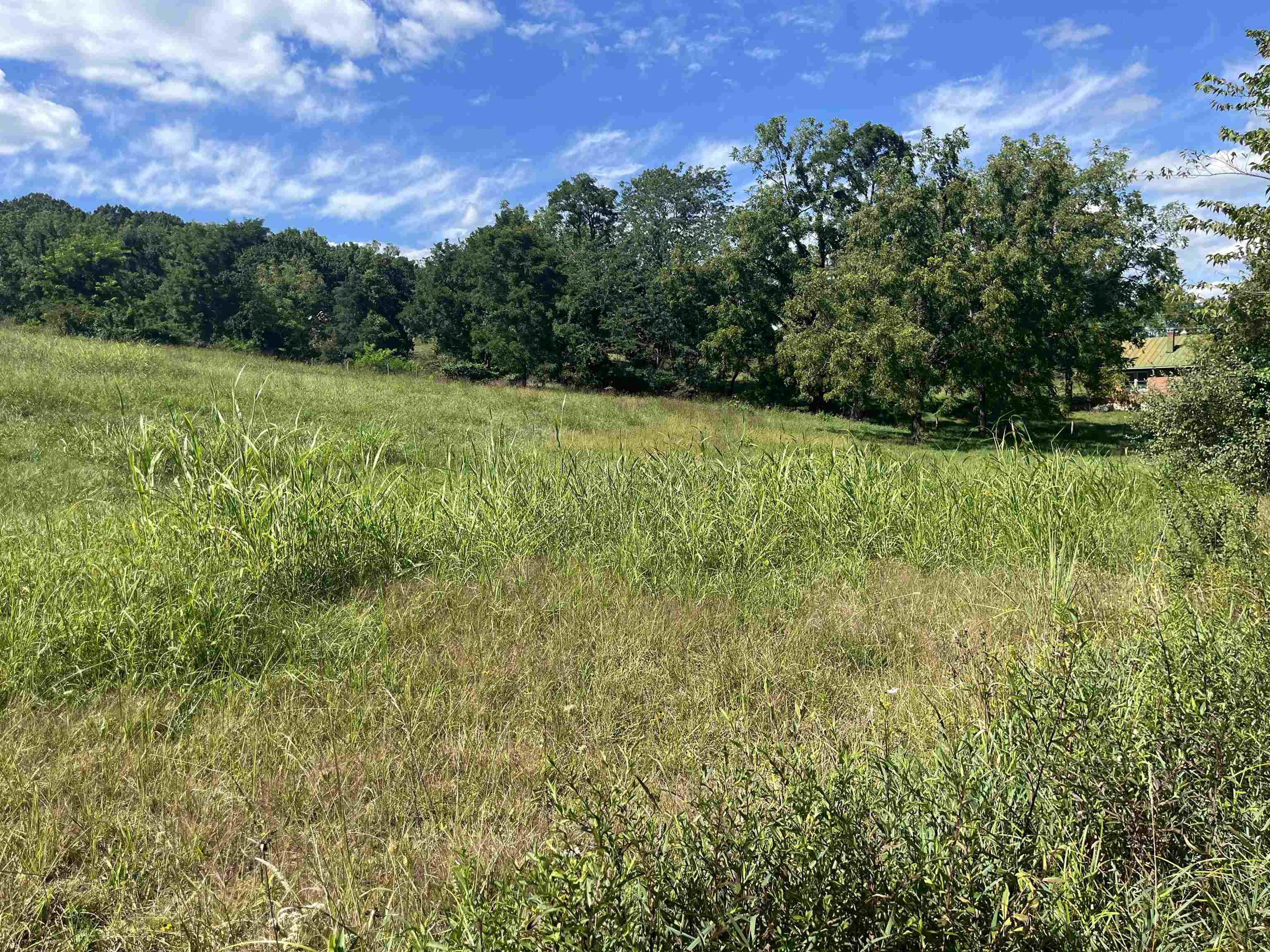 TBD STAGE COACH RD, STAUNTON, Virginia 24401, ,Land,TBD STAGE COACH RD,668323 MLS # 668323