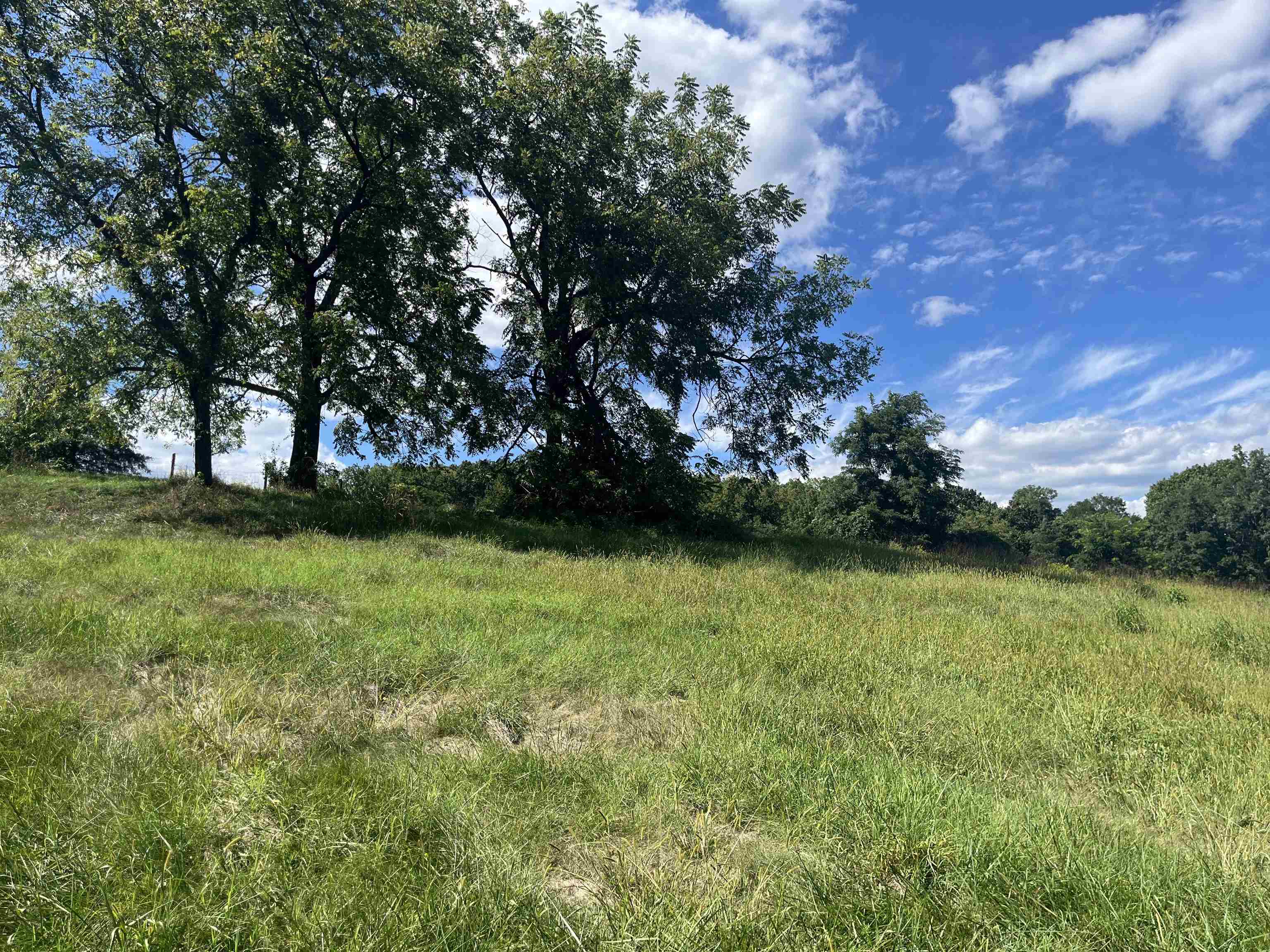 TBD STAGE COACH RD, STAUNTON, Virginia 24401, ,Land,TBD STAGE COACH RD,668323 MLS # 668323