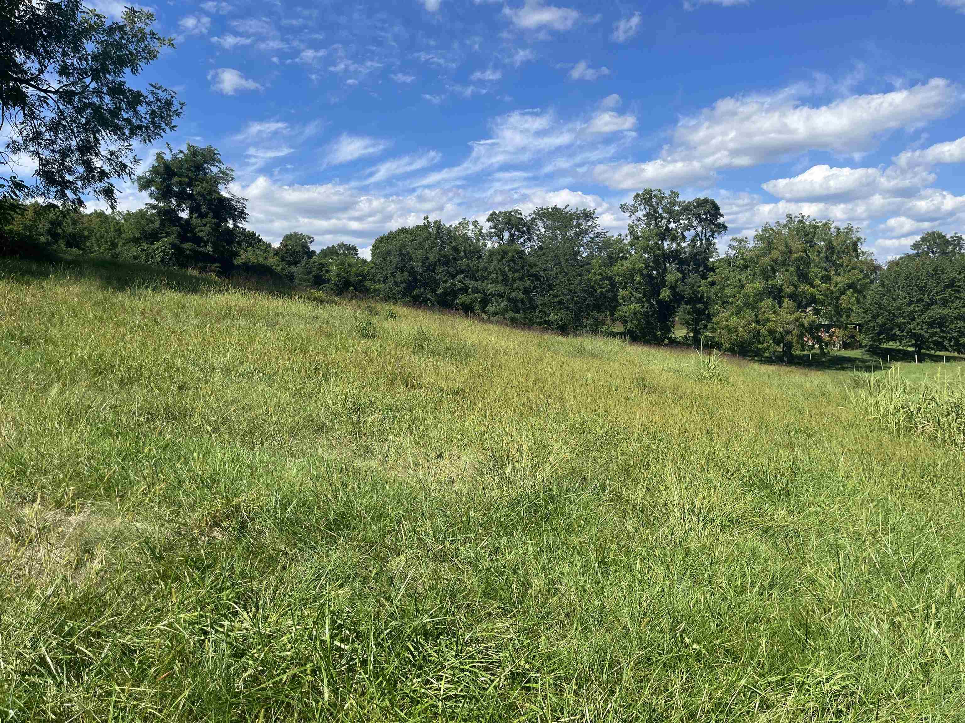 TBD STAGE COACH RD, STAUNTON, Virginia 24401, ,Land,TBD STAGE COACH RD,668323 MLS # 668323