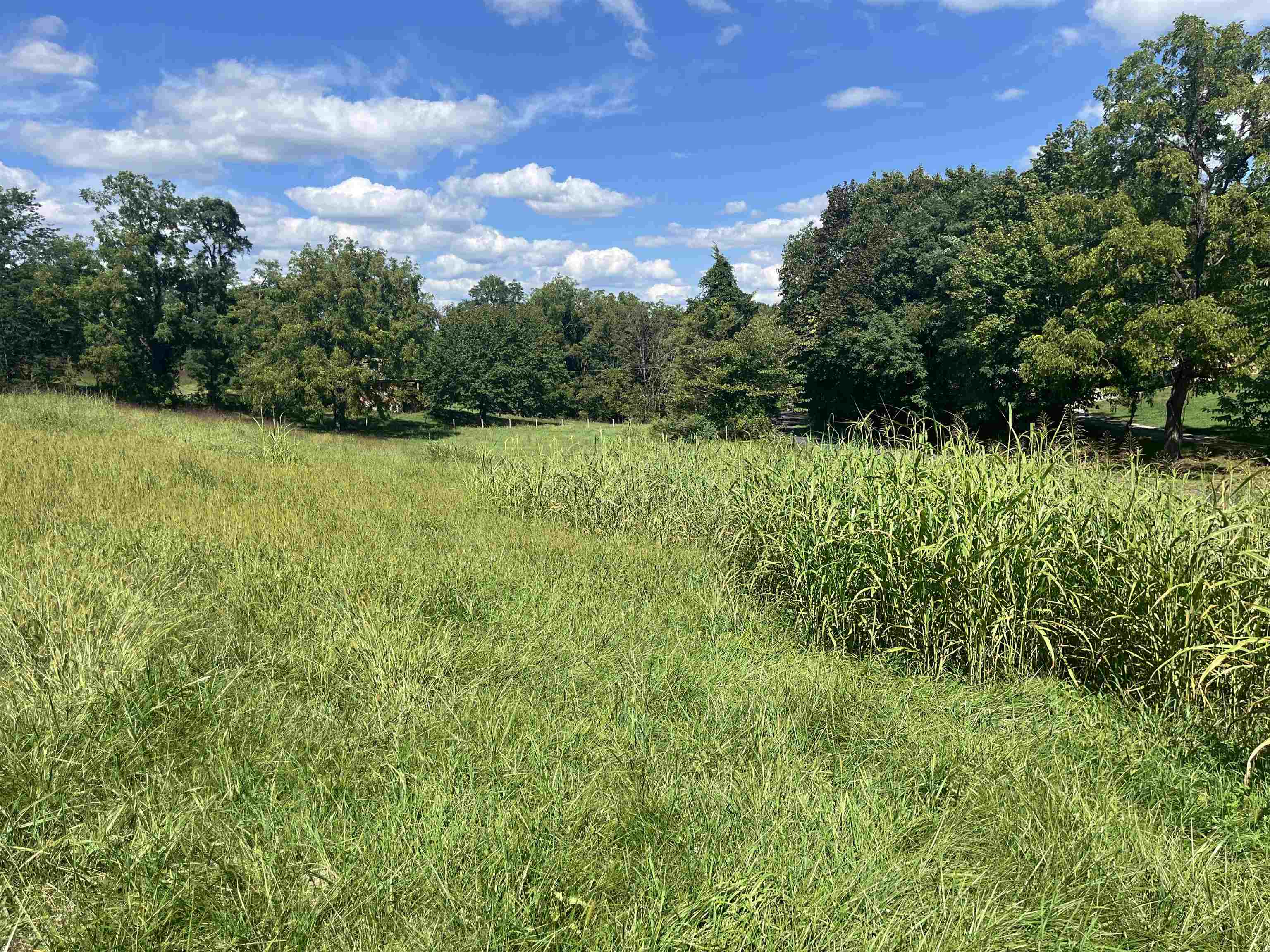TBD STAGE COACH RD, STAUNTON, Virginia 24401, ,Land,TBD STAGE COACH RD,668323 MLS # 668323