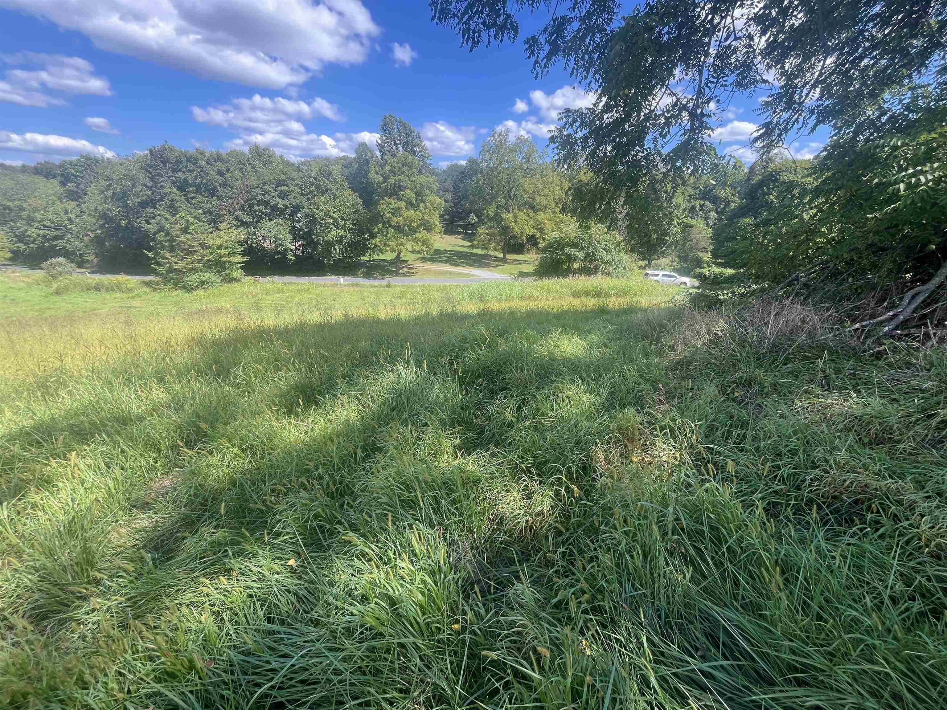 TBD STAGE COACH RD, STAUNTON, Virginia 24401, ,Land,TBD STAGE COACH RD,668323 MLS # 668323