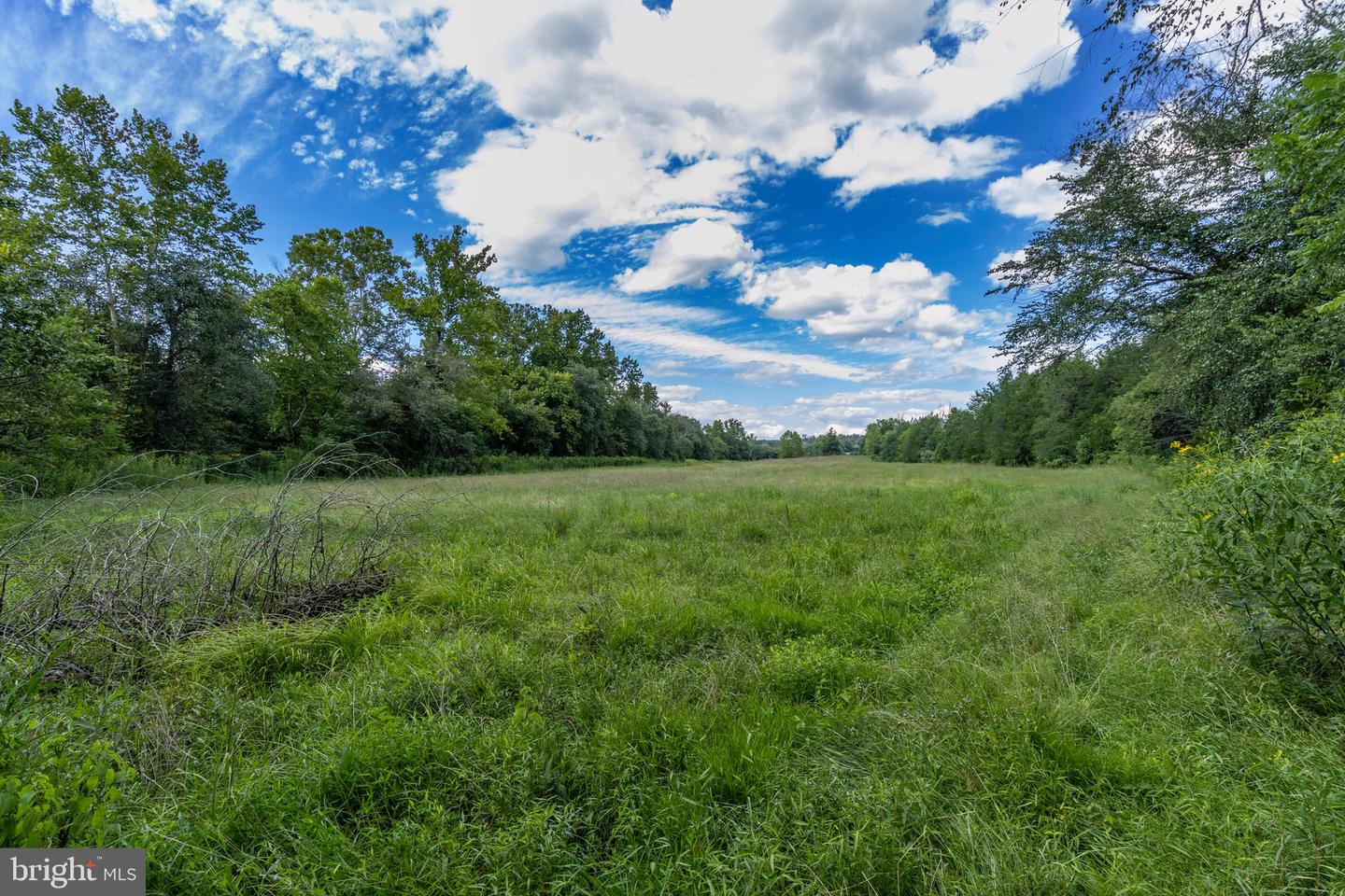 OAK SHADE, JEFFERSONTON, Virginia 22724, ,Land,For sale,OAK SHADE,VACU2011398 MLS # VACU2011398