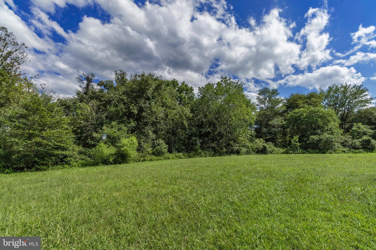 OAK SHADE, JEFFERSONTON, Virginia 22724, ,Land,For sale,OAK SHADE,VACU2011398 MLS # VACU2011398
