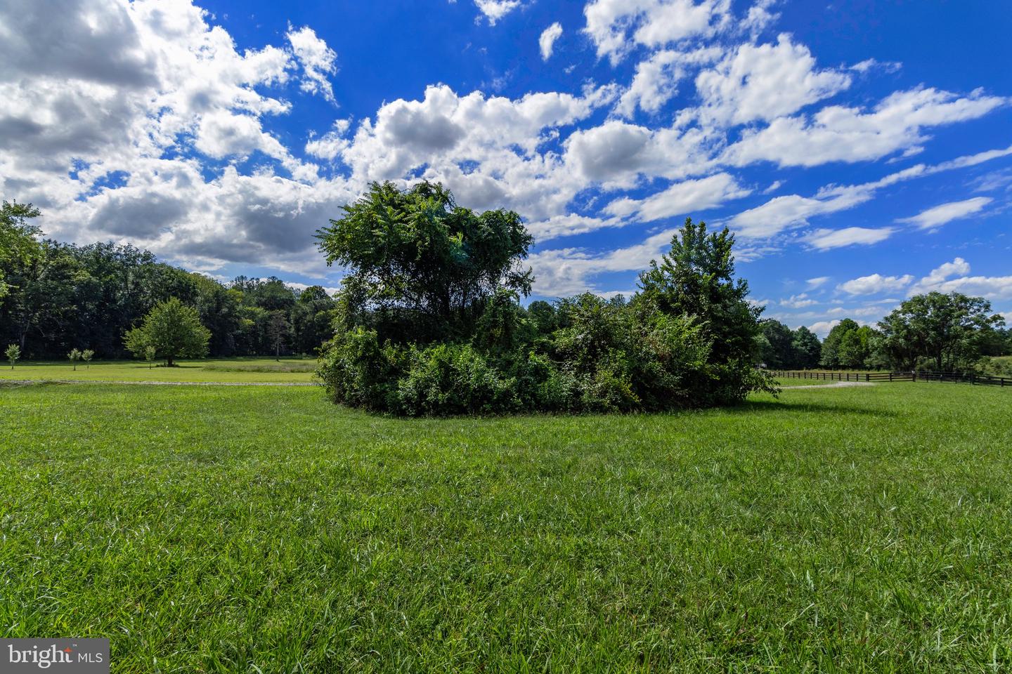 OAK SHADE, JEFFERSONTON, Virginia 22724, ,Land,For sale,OAK SHADE,VACU2011398 MLS # VACU2011398