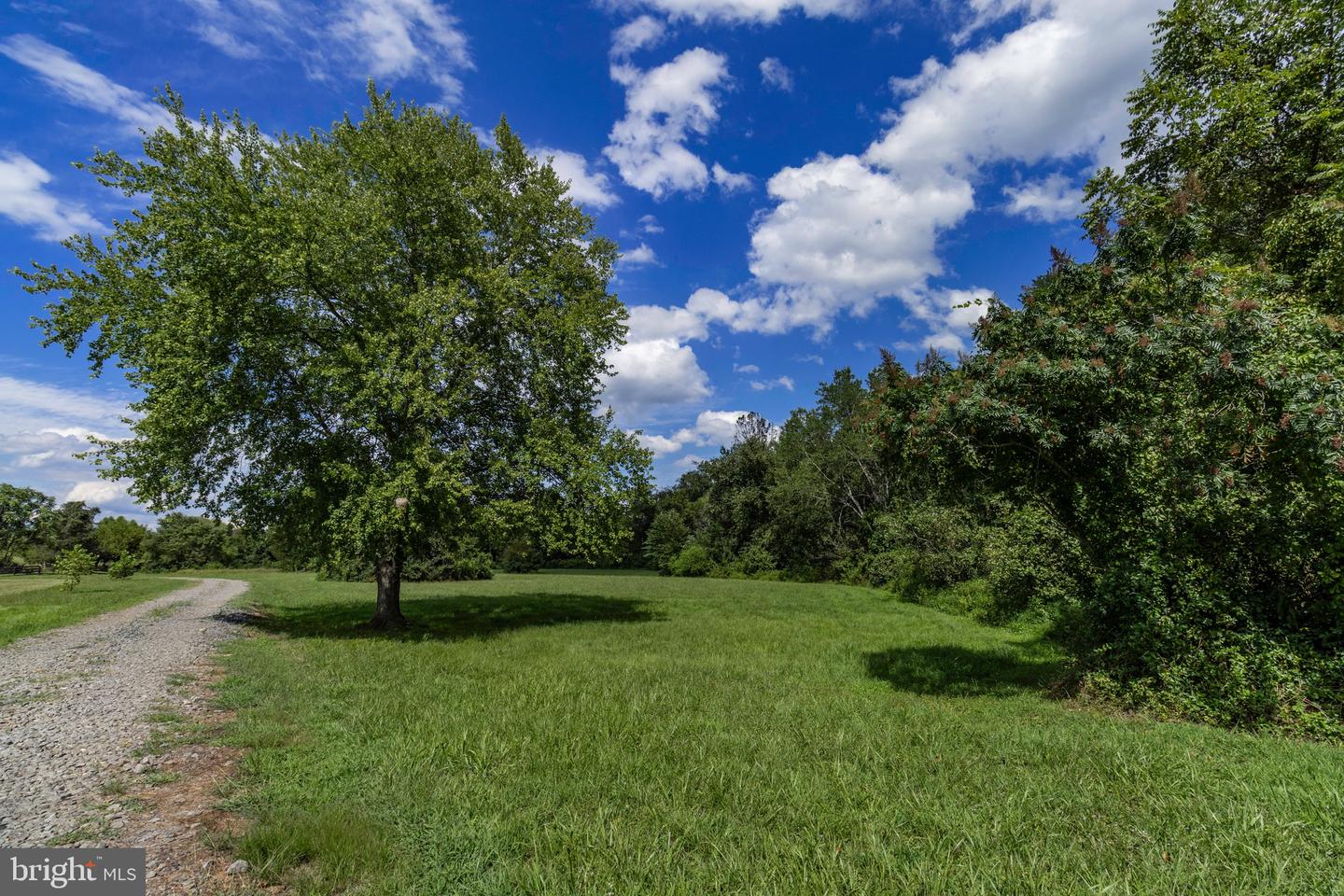 OAK SHADE, JEFFERSONTON, Virginia 22724, ,Land,For sale,OAK SHADE,VACU2011398 MLS # VACU2011398