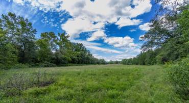 OAK SHADE, JEFFERSONTON, Virginia 22724, ,Land,For sale,OAK SHADE,VACU2011398 MLS # VACU2011398