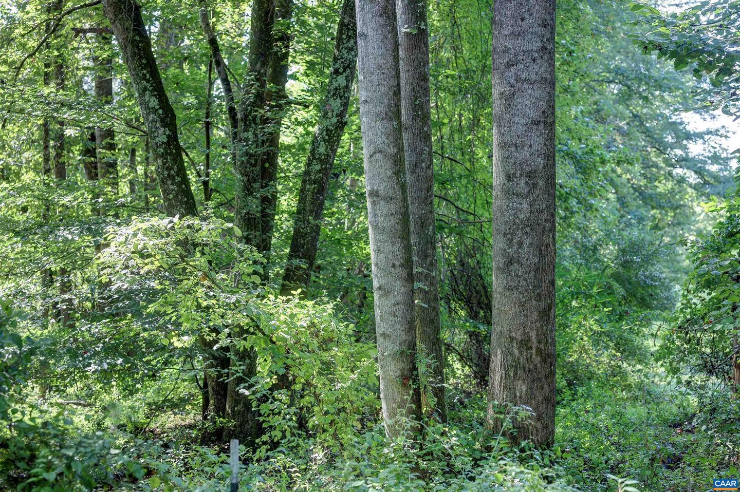 LOT C LINK EVANS LN #C, EARLYSVILLE, Virginia 22936, ,Land,For sale,LOT C LINK EVANS LN #C,668217 MLS # 668217