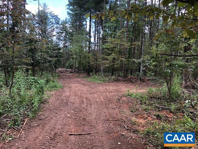 LOT C LINK EVANS LN #C, EARLYSVILLE, Virginia 22936, ,Land,For sale,LOT C LINK EVANS LN #C,668217 MLS # 668217