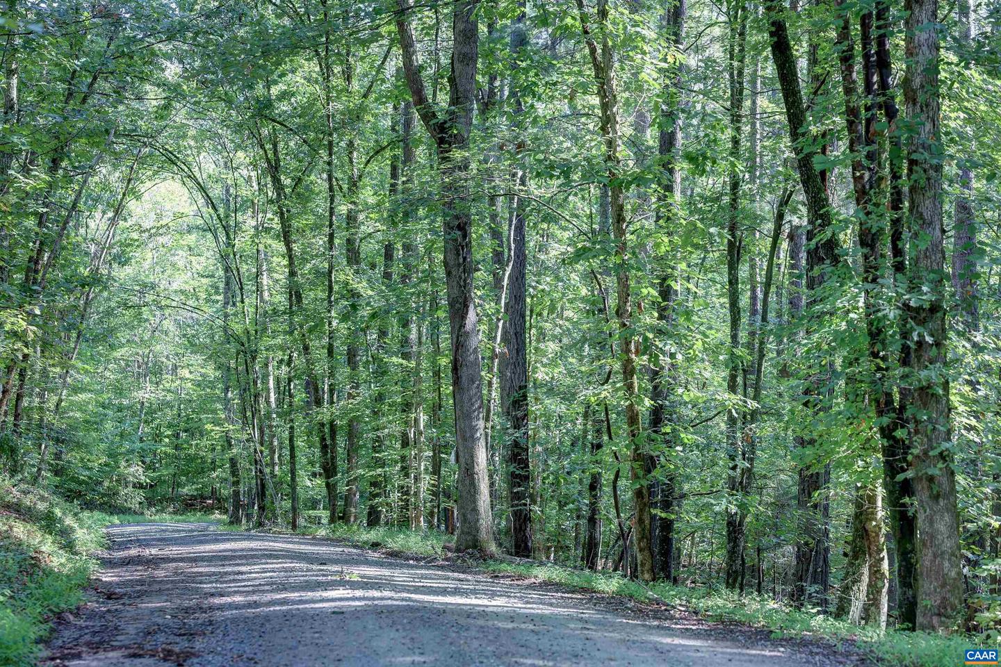 LOT C LINK EVANS LN #C, EARLYSVILLE, Virginia 22936, ,Land,For sale,LOT C LINK EVANS LN #C,668217 MLS # 668217