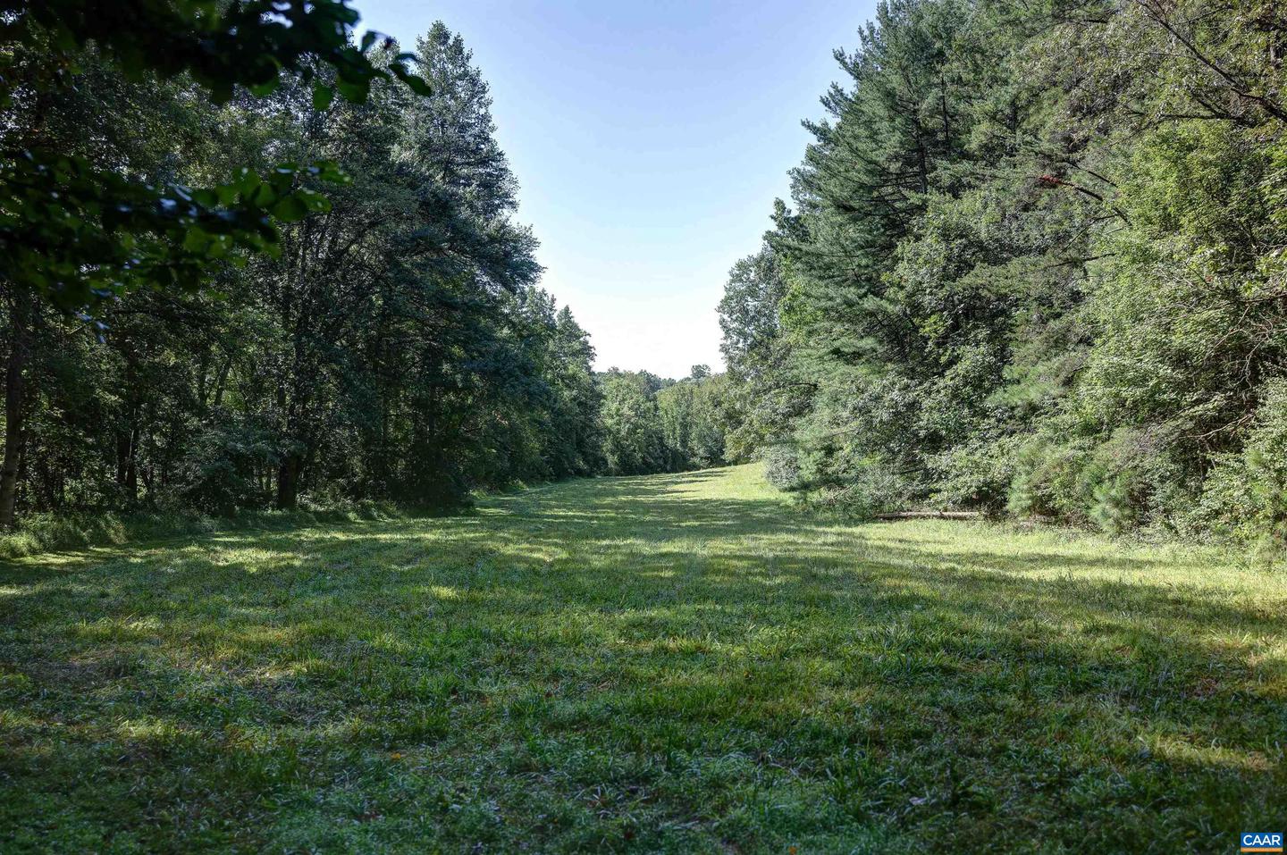 LOT C LINK EVANS LN #C, EARLYSVILLE, Virginia 22936, ,Land,For sale,LOT C LINK EVANS LN #C,668217 MLS # 668217