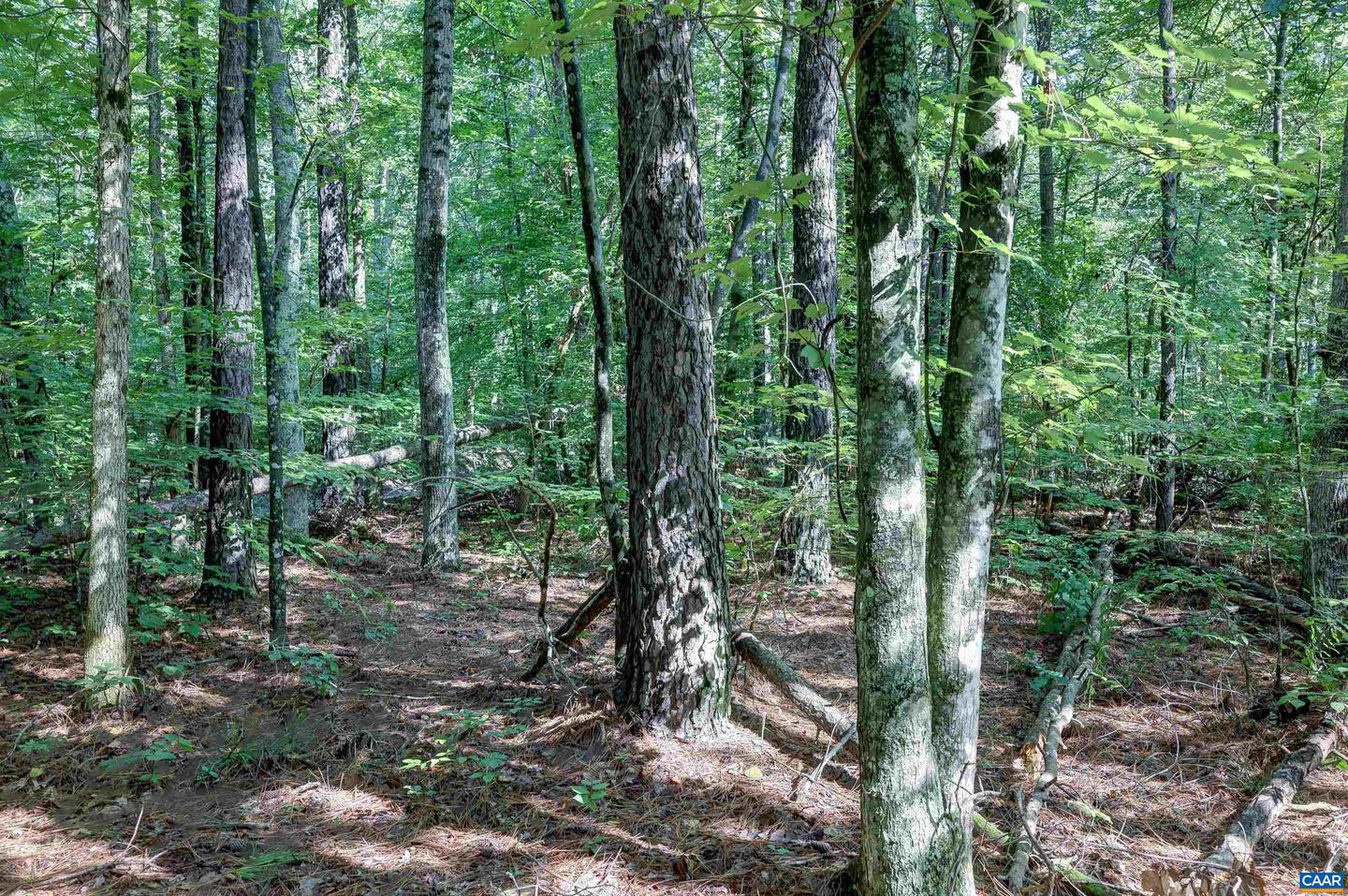 LOT C LINK EVANS LN #C, EARLYSVILLE, Virginia 22936, ,Land,For sale,LOT C LINK EVANS LN #C,668217 MLS # 668217