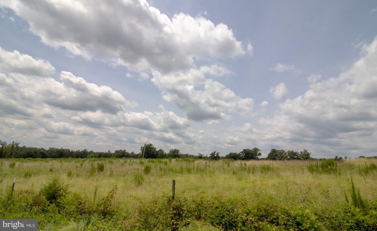 TBD TN SNOW #10, NATHALIE, Virginia 24577, ,Land,For sale,TBD TN SNOW #10,VAHX2000128 MLS # VAHX2000128