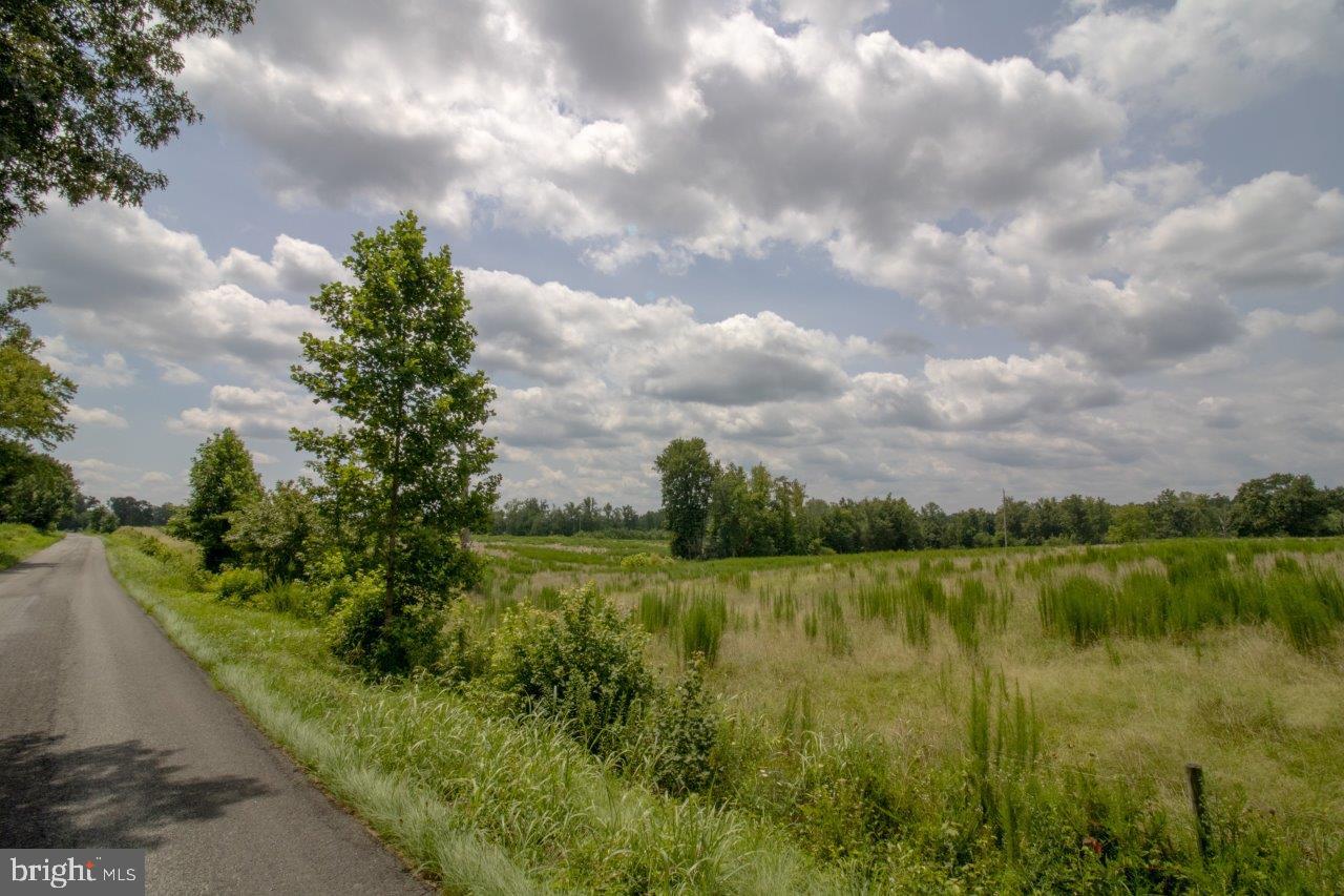 TBD TN SNOW #10, NATHALIE, Virginia 24577, ,Land,For sale,TBD TN SNOW #10,VAHX2000128 MLS # VAHX2000128