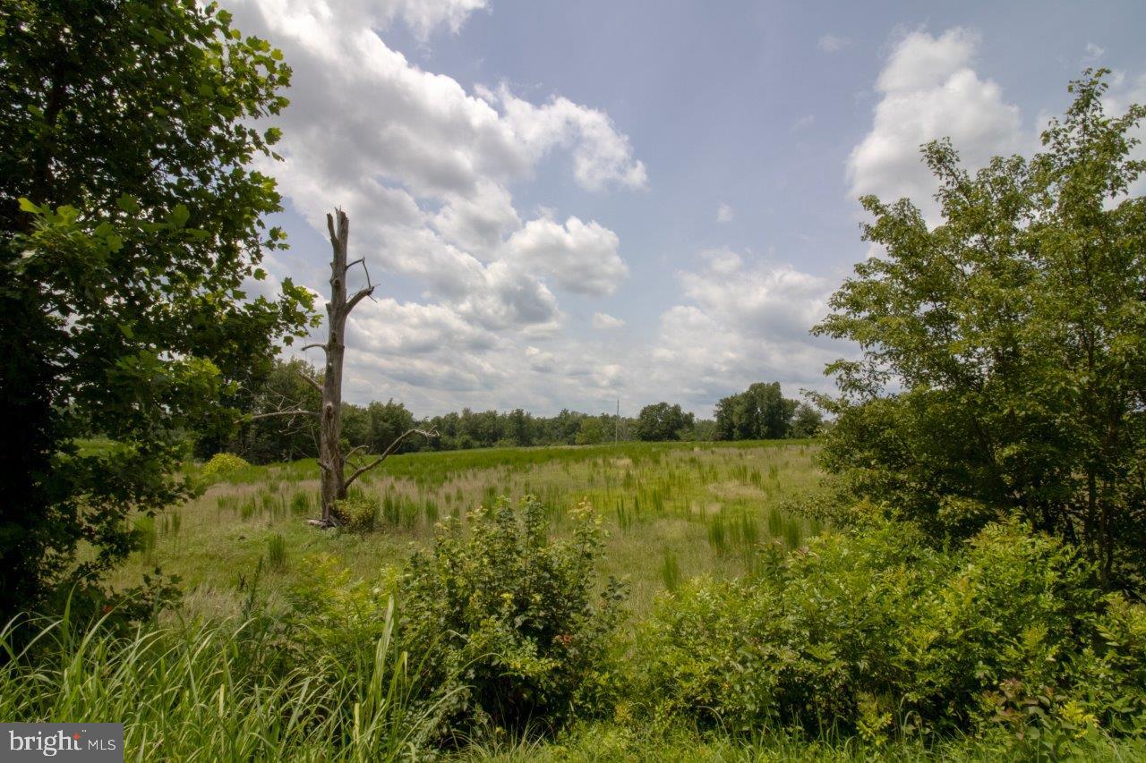 TBD TN SNOW #10, NATHALIE, Virginia 24577, ,Land,For sale,TBD TN SNOW #10,VAHX2000128 MLS # VAHX2000128