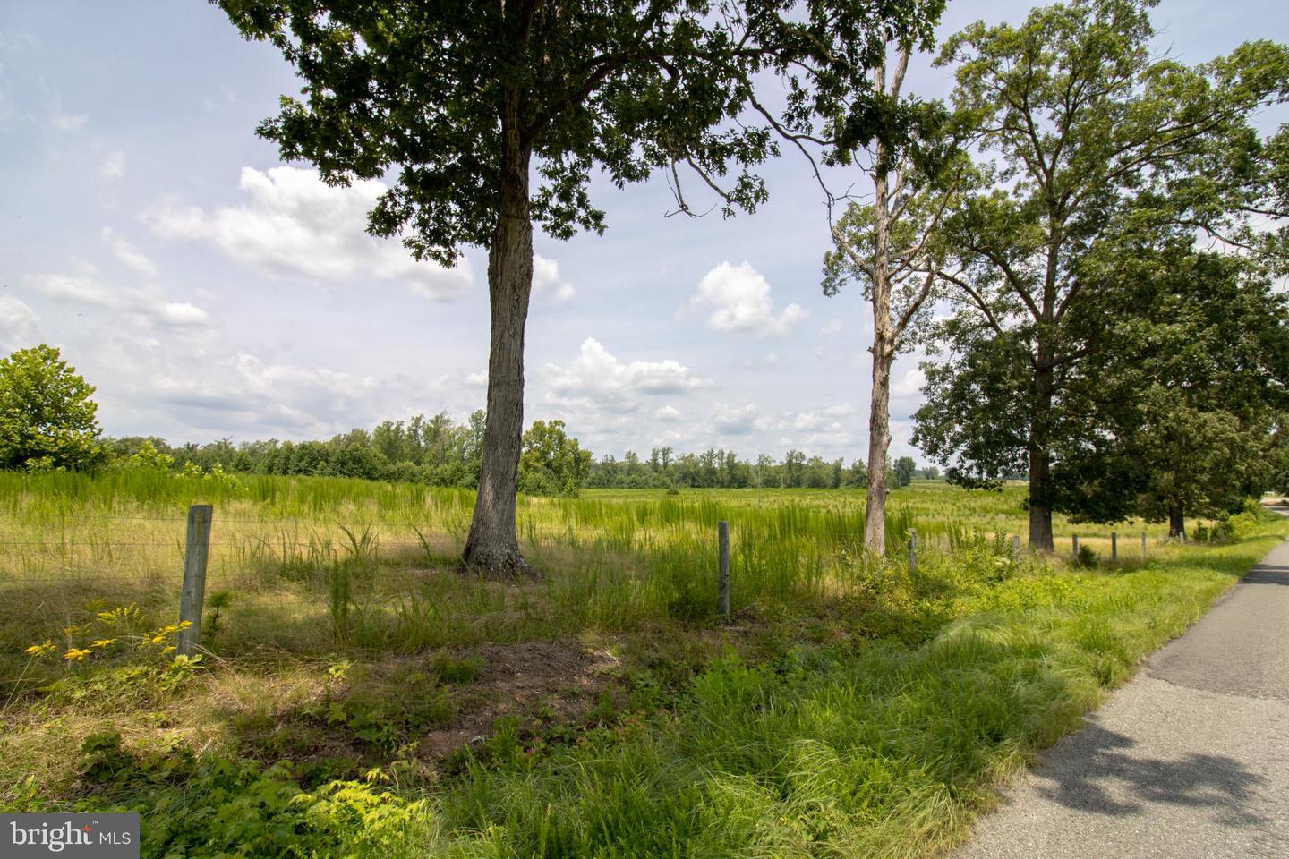 TBD TN SNOW #10, NATHALIE, Virginia 24577, ,Land,For sale,TBD TN SNOW #10,VAHX2000128 MLS # VAHX2000128