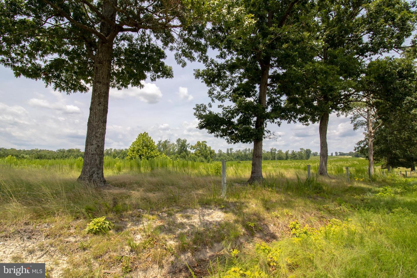 TBD TN SNOW #10, NATHALIE, Virginia 24577, ,Land,For sale,TBD TN SNOW #10,VAHX2000128 MLS # VAHX2000128