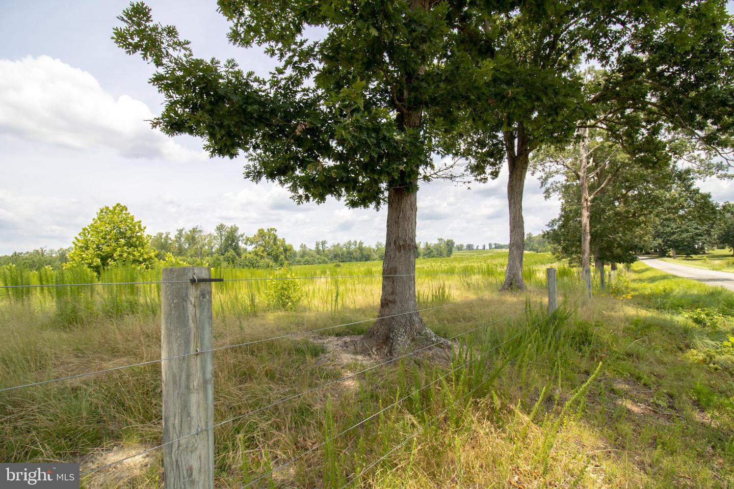 TBD TN SNOW #10, NATHALIE, Virginia 24577, ,Land,For sale,TBD TN SNOW #10,VAHX2000128 MLS # VAHX2000128