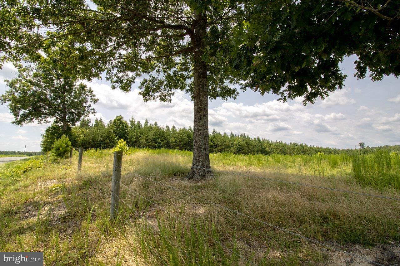 TBD TN SNOW #10, NATHALIE, Virginia 24577, ,Land,For sale,TBD TN SNOW #10,VAHX2000128 MLS # VAHX2000128