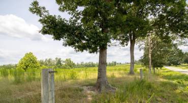 TBD TN SNOW #10, NATHALIE, Virginia 24577, ,Land,For sale,TBD TN SNOW #10,VAHX2000128 MLS # VAHX2000128