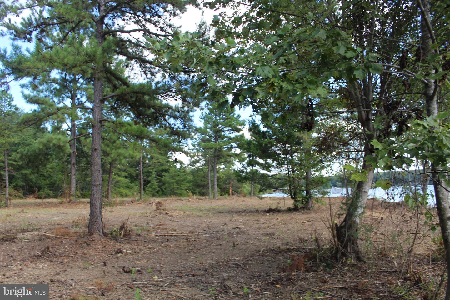 60 LAURELWOOD DR, BUMPASS, Virginia 23024, ,Land,For sale,60 LAURELWOOD DR,VALA2008500 MLS # VALA2008500
