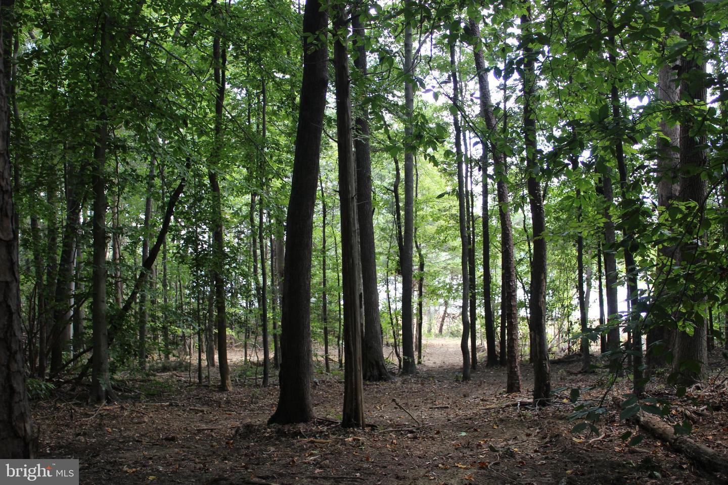 60 LAURELWOOD DR, BUMPASS, Virginia 23024, ,Land,For sale,60 LAURELWOOD DR,VALA2008500 MLS # VALA2008500