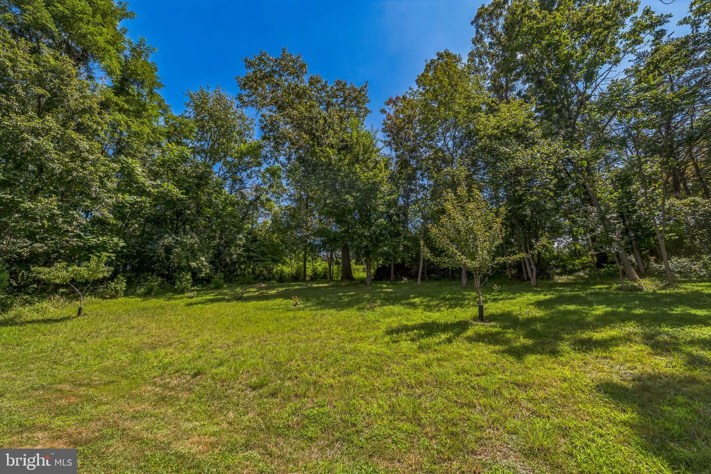 605 CEDAR CT, WOODSTOCK, Virginia 22664, 3 Bedrooms Bedrooms, 6 Rooms Rooms,2 BathroomsBathrooms,Residential,For sale,605 CEDAR CT,VASH2012248 MLS # VASH2012248