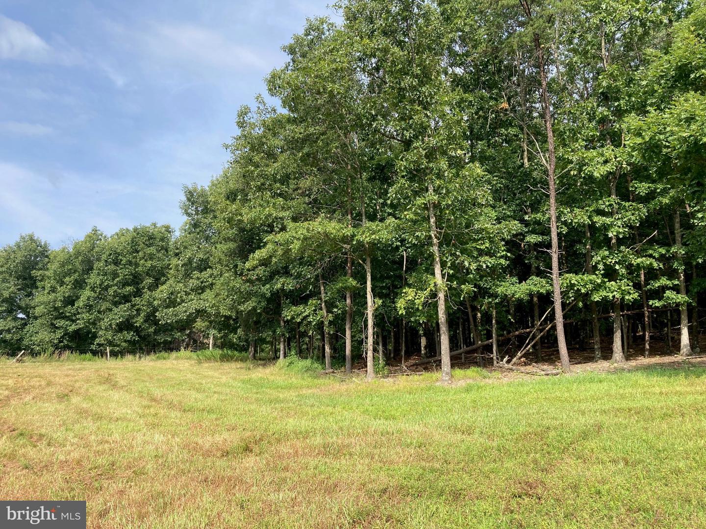 LIGHT RD, WINCHESTER, Virginia 22603, 4 Bedrooms Bedrooms, ,3 BathroomsBathrooms,Farm,For sale,LIGHT RD,VAFV2036468 MLS # VAFV2036468
