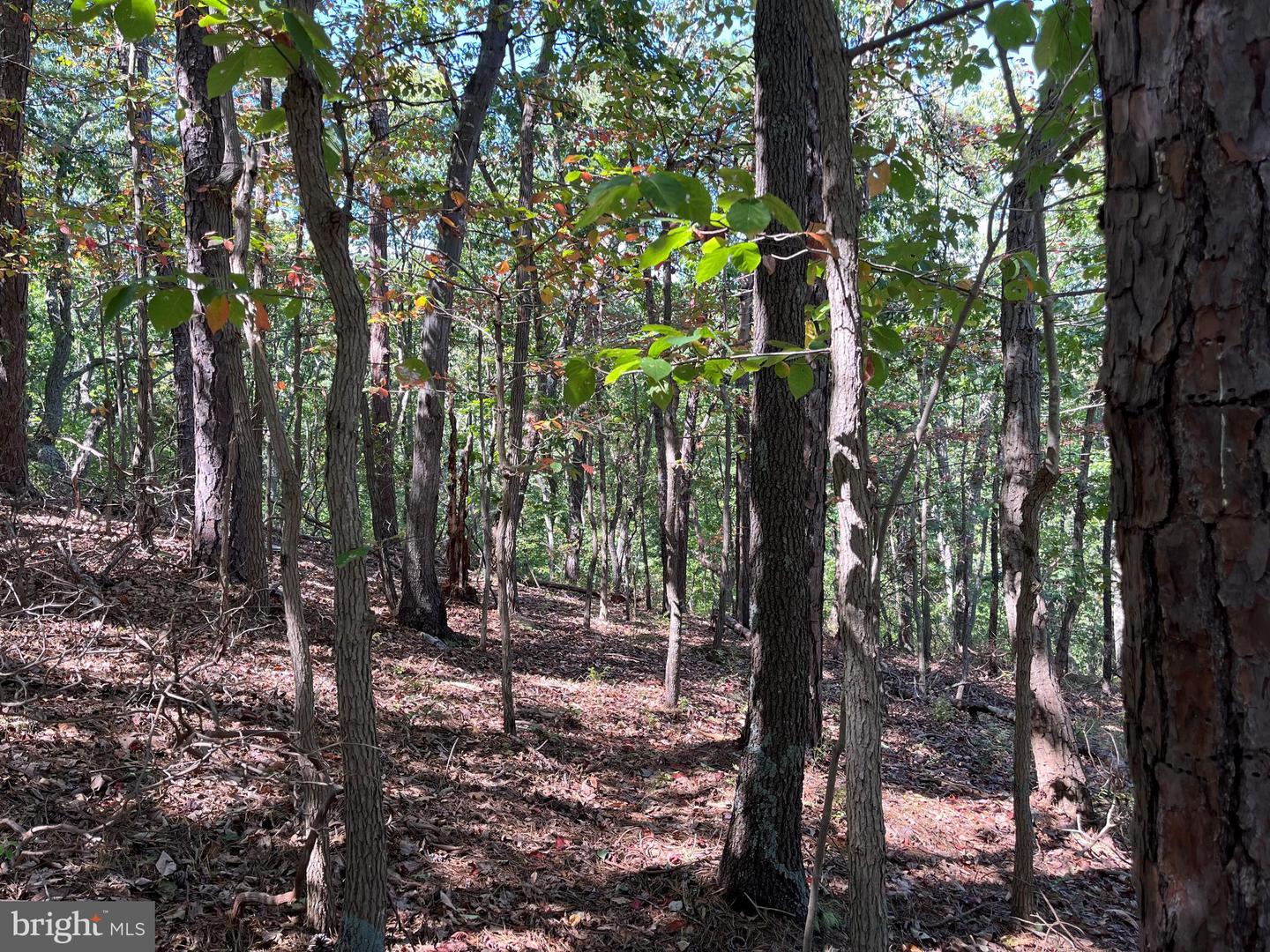 1504 DUFFEY DR, HAYMARKET, Virginia 20169, ,Land,For sale,1504 DUFFEY DR,VAPW2100780 MLS # VAPW2100780 1504 DUFFEY DR, HAYMARKET, Virginia 20169, ,Land,For sale,1504 DUFFEY DR,VAPW2100780 MLS # VAPW2100780