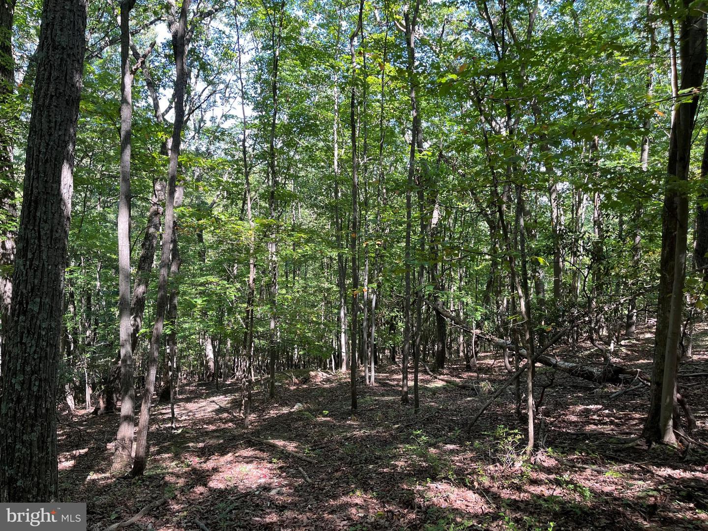 1504 DUFFEY DR, HAYMARKET, Virginia 20169, ,Land,For sale,1504 DUFFEY DR,VAPW2100780 MLS # VAPW2100780 1504 DUFFEY DR, HAYMARKET, Virginia 20169, ,Land,For sale,1504 DUFFEY DR,VAPW2100780 MLS # VAPW2100780