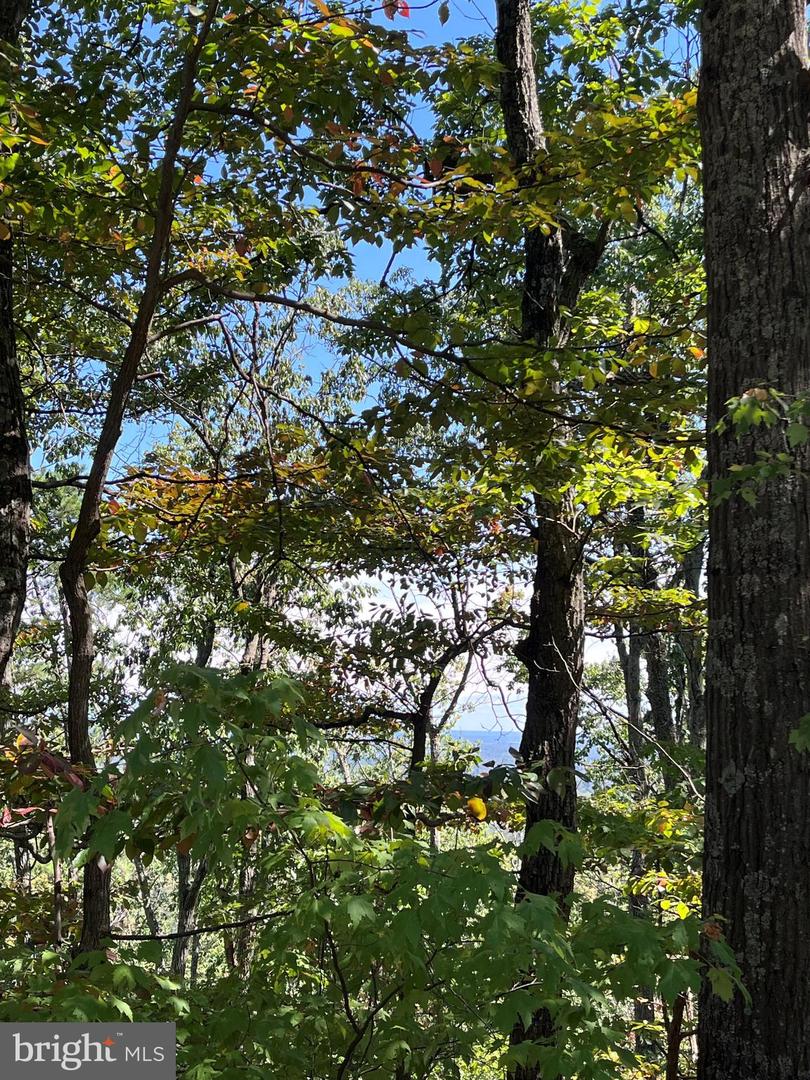 1504 DUFFEY DR, HAYMARKET, Virginia 20169, ,Land,For sale,1504 DUFFEY DR,VAPW2100780 MLS # VAPW2100780 1504 DUFFEY DR, HAYMARKET, Virginia 20169, ,Land,For sale,1504 DUFFEY DR,VAPW2100780 MLS # VAPW2100780