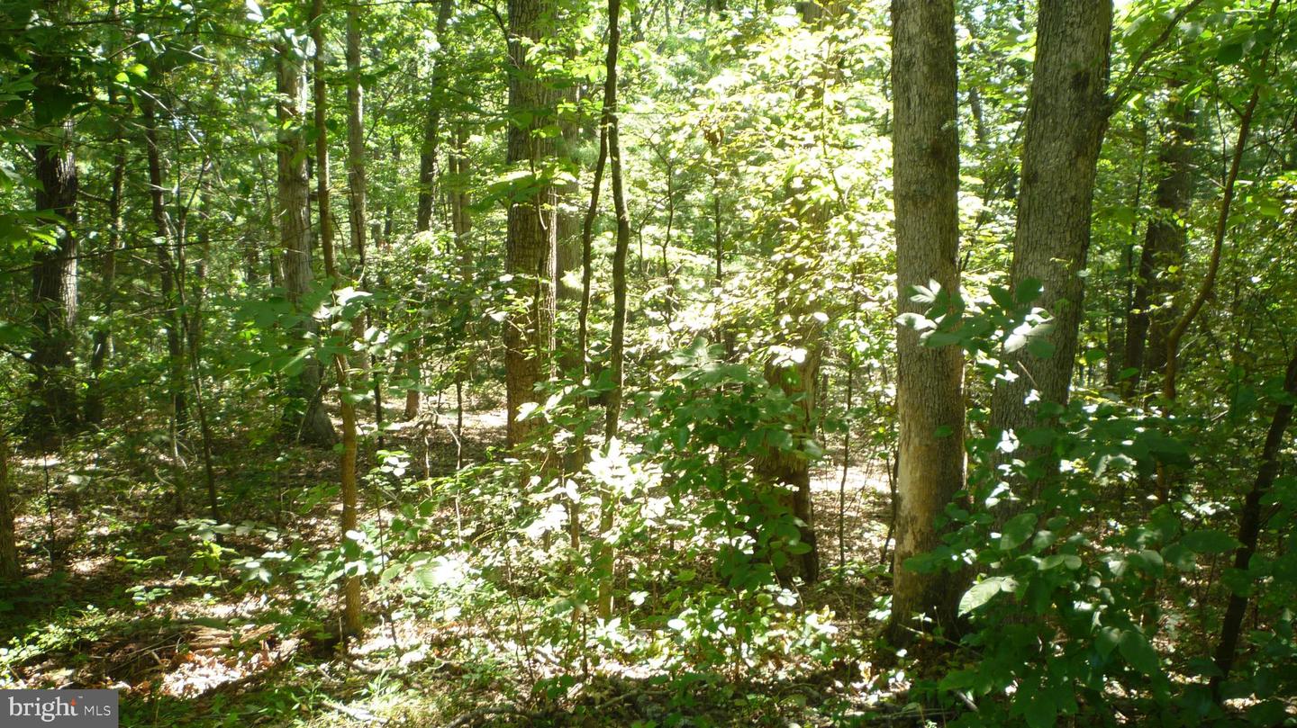 LOT 95 WILLOW LANE, MOUNT JACKSON, Virginia 22842, ,Land,For sale,LOT 95 WILLOW LANE,VASH2012360 MLS # VASH2012360