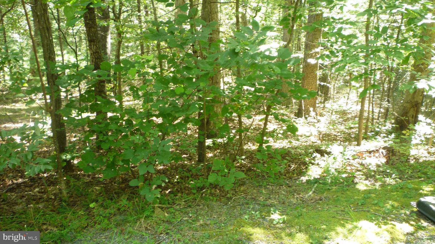 LOT 95 WILLOW LANE, MOUNT JACKSON, Virginia 22842, ,Land,For sale,LOT 95 WILLOW LANE,VASH2012360 MLS # VASH2012360