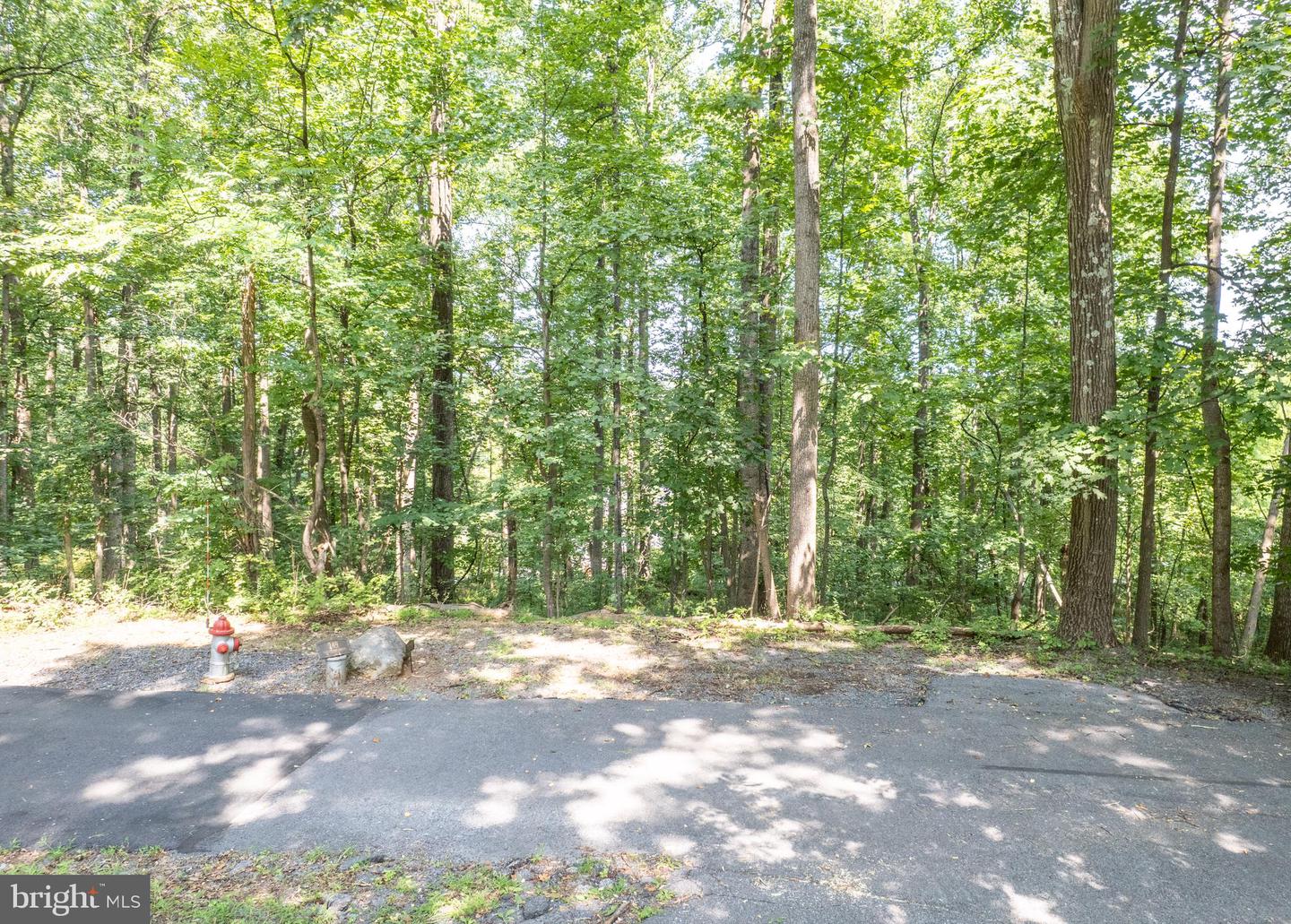 0 GREYSTONE DR, FRONT ROYAL, Virginia 22630, ,Land,For sale,0 GREYSTONE DR,VAWR2012148 MLS # VAWR2012148