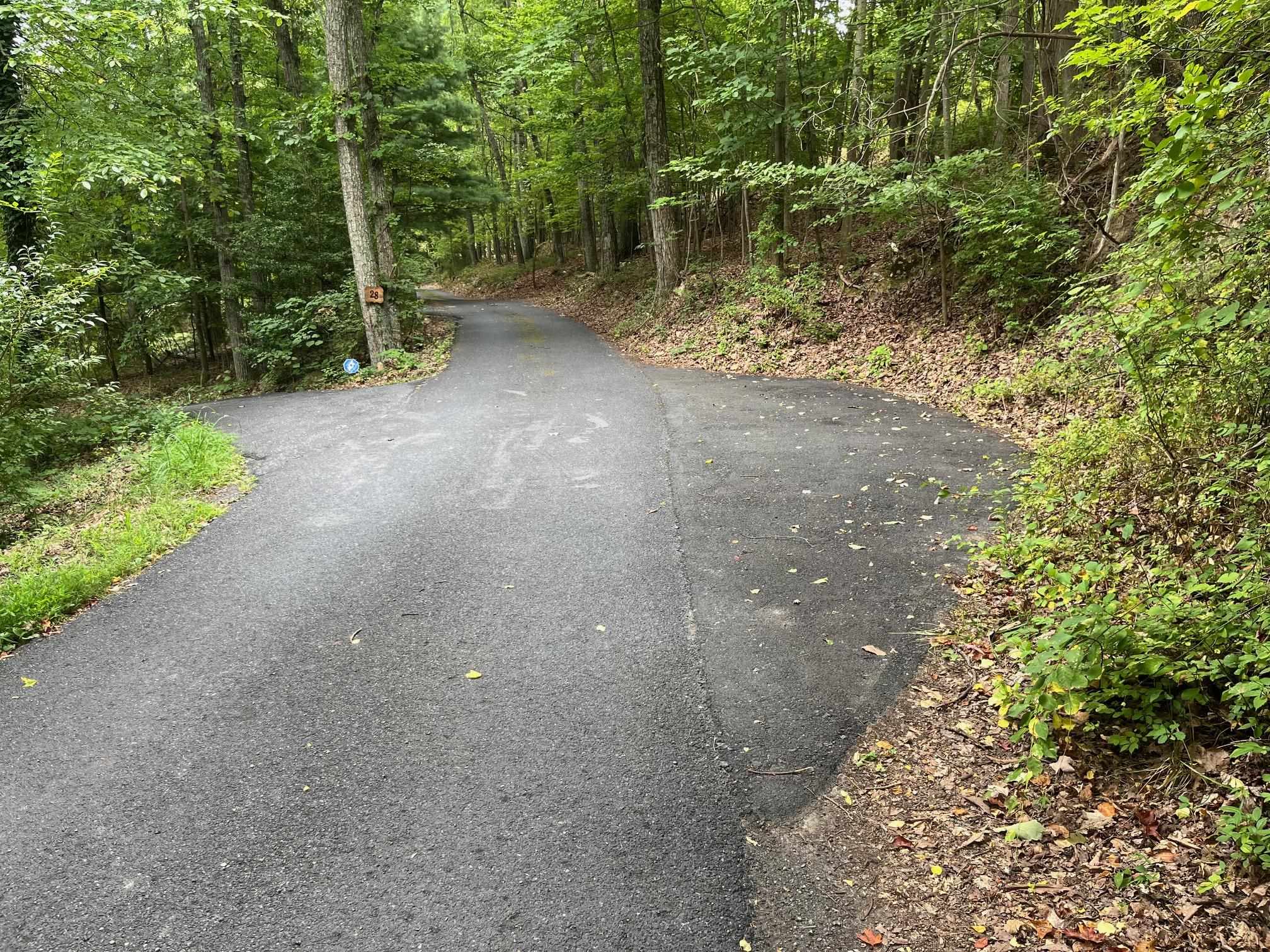 Two Spaces on Little Chestnut Lane, at top of driveway.