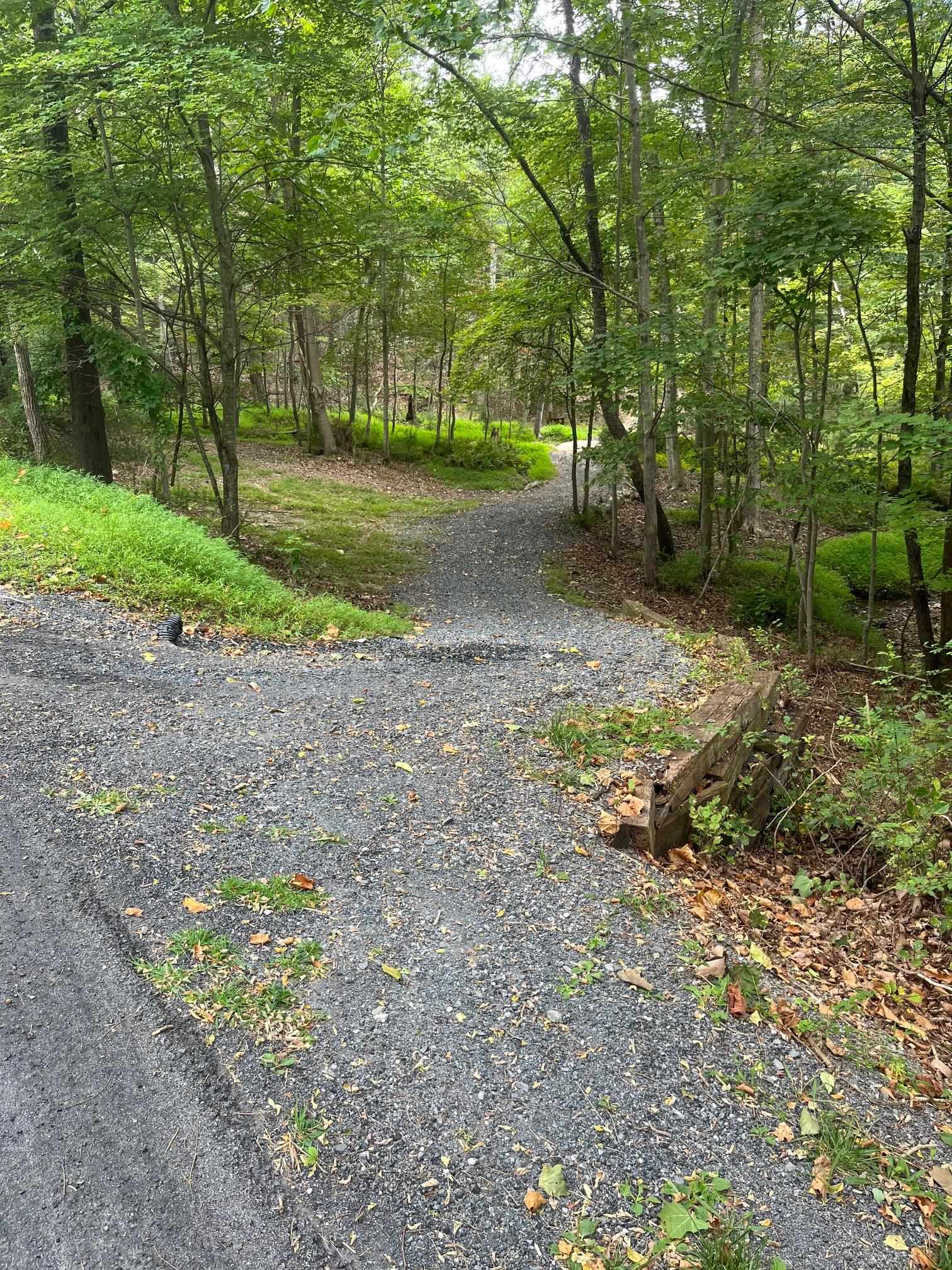 Just past 605 Chinquapin Drive