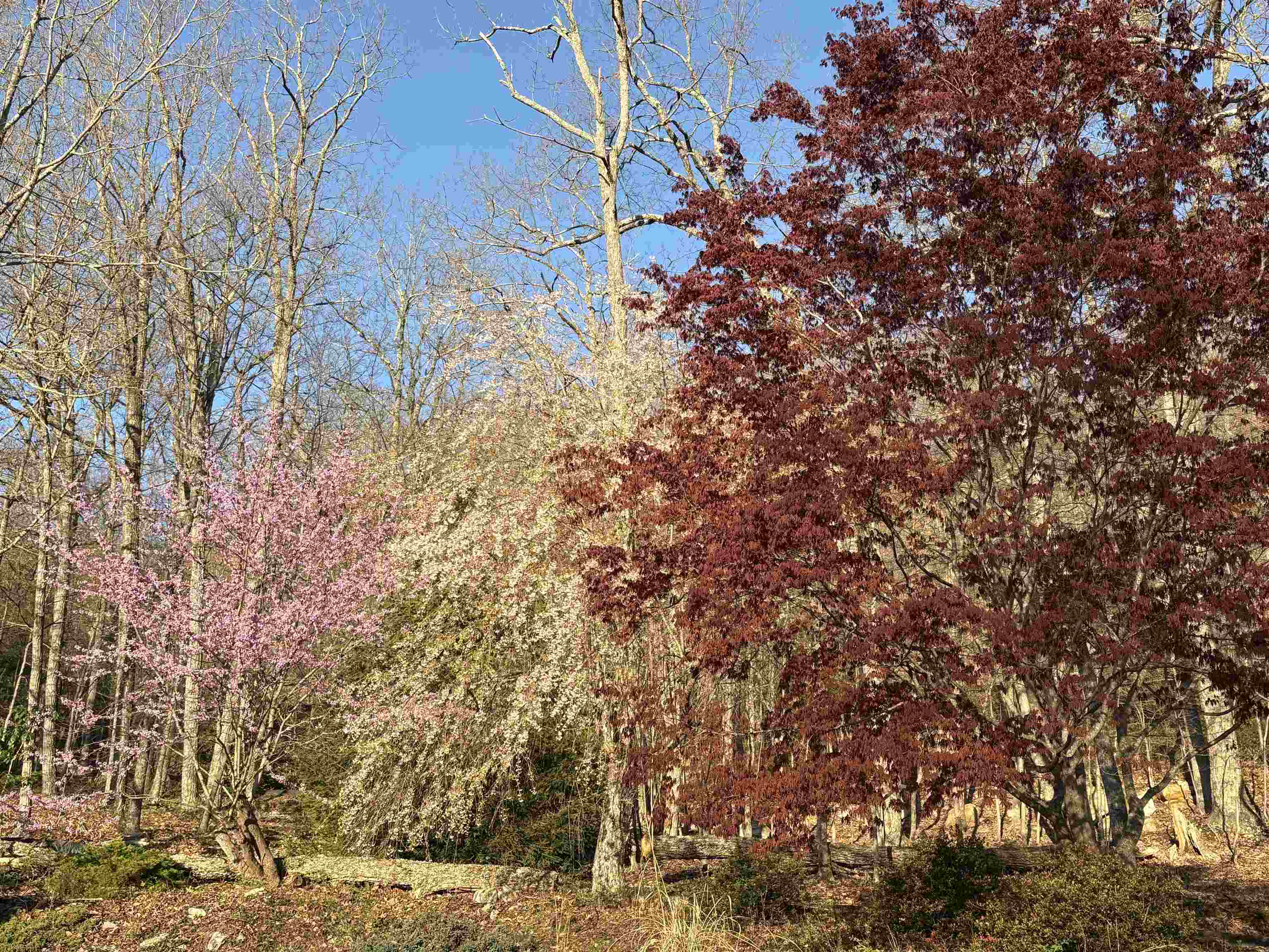 28 LITTLE CHESTNUT LN, LYNDHURST, Virginia 22952, 3 Bedrooms Bedrooms, ,2 BathroomsBathrooms,Residential,28 LITTLE CHESTNUT LN,668360 MLS # 668360