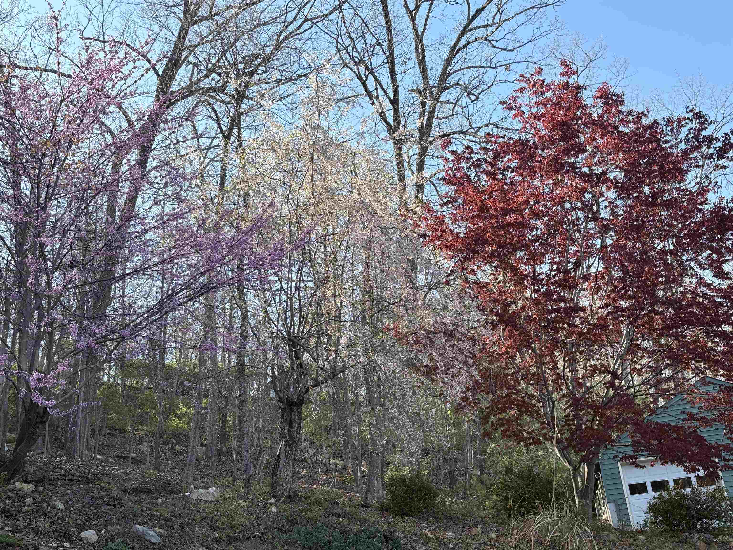 28 LITTLE CHESTNUT LN, LYNDHURST, Virginia 22952, 3 Bedrooms Bedrooms, ,2 BathroomsBathrooms,Residential,28 LITTLE CHESTNUT LN,668360 MLS # 668360