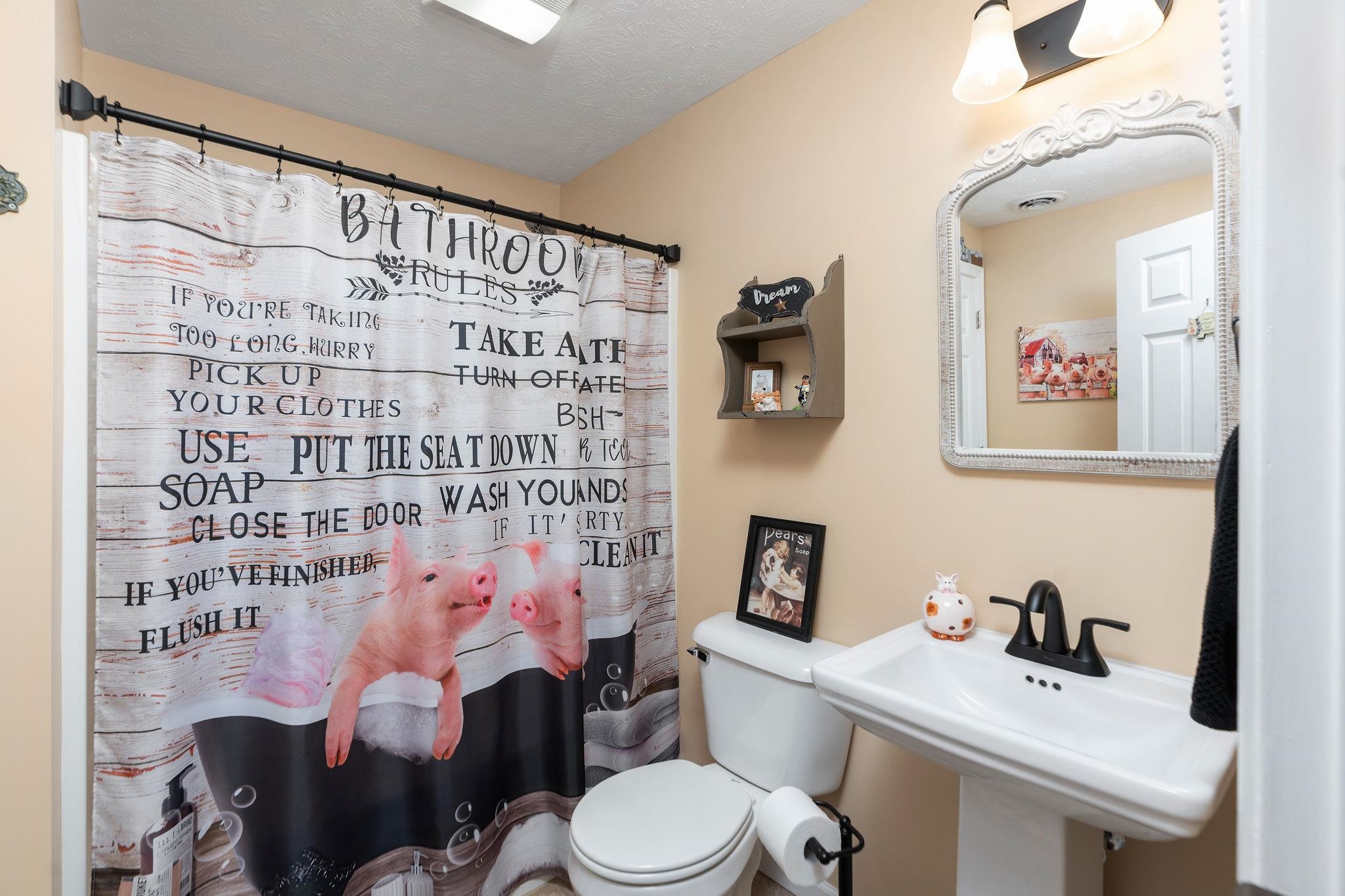 3894 SHUTTERLEE MILL LN, STAUNTON, Virginia 24401, 5 Bedrooms Bedrooms, ,3 BathroomsBathrooms,Residential,3894 SHUTTERLEE MILL LN,668362 MLS # 668362