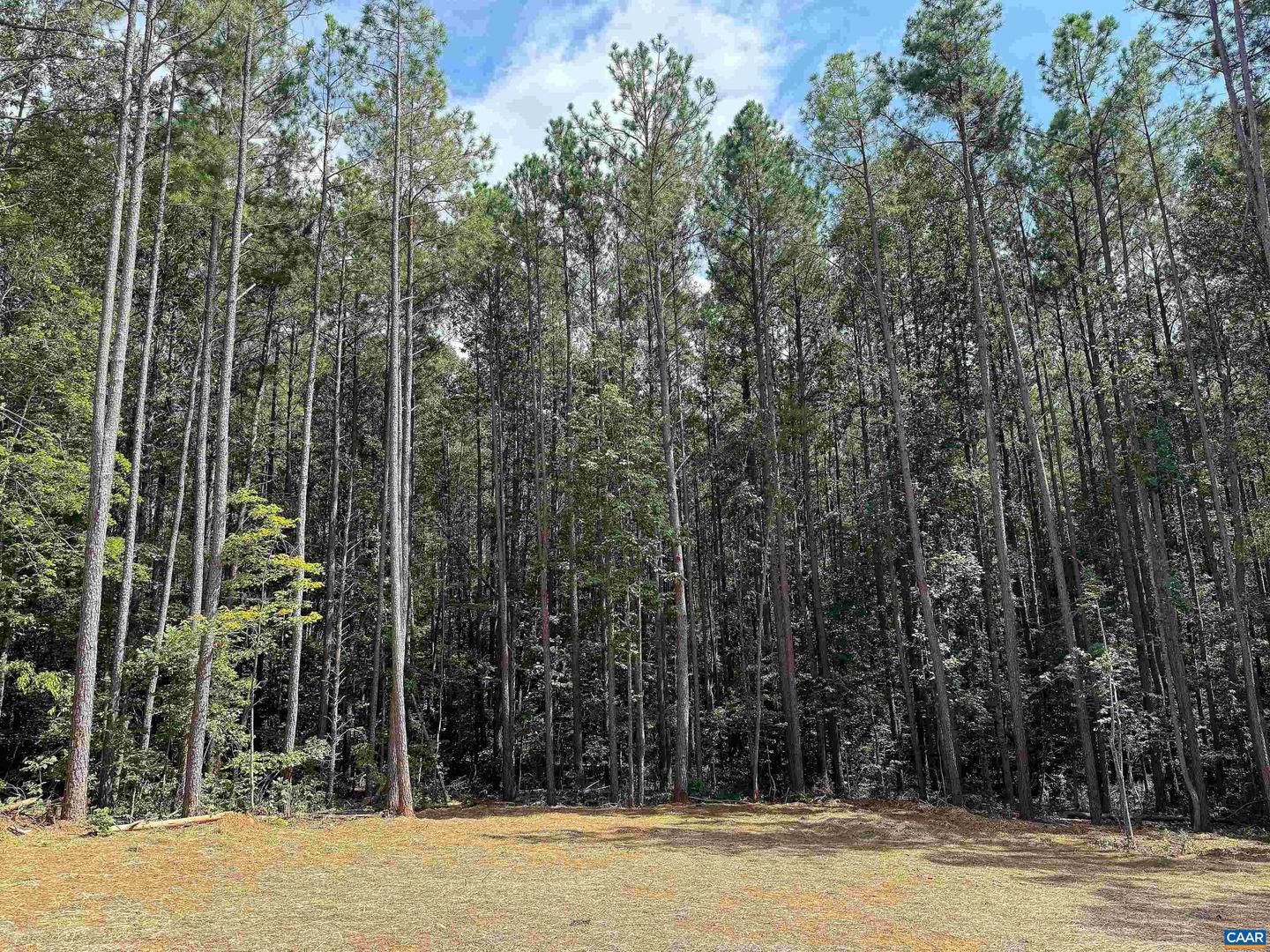 197 SLATE RIVER TRL, ARVONIA, Virginia 23004, 3 Bedrooms Bedrooms, ,2 BathroomsBathrooms,Residential,For sale,197 SLATE RIVER TRL,668355 MLS # 668355
