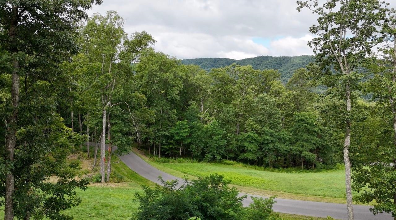 15 DELAFIELD RD, HOT SPRINGS, Virginia 24445, ,Land,15 DELAFIELD RD,668389 MLS # 668389
